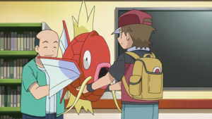 Magicarpe de Red.png