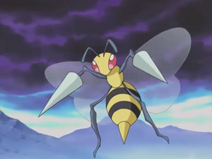 Pokémon Chronicles 14 - Dardargnan de Jimmy.png