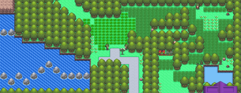 Pokemon Sauvages 800px-Route_229_DP