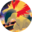 Icône - Typhlosion
