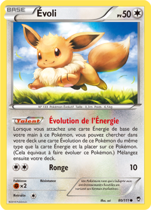 Carte XY Poings Furieux 80.png