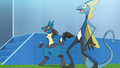 Lucario (de Sacha) et Lézargus (de Goh)