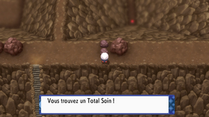 Mont Abrupt Total Soin DEPS.png