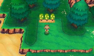 Route 118 Baie Sitrus ROSA.png