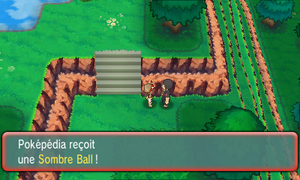 Route 120 Sombre Ball ROSA.png