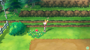 Route 8 Vitesse + LGPE.png