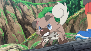 SL036 - Rocabot de Sacha.png