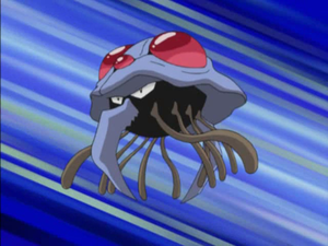 Tentacruel de Cassidy.png