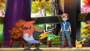 XY074 - Braisillon de Sacha.png