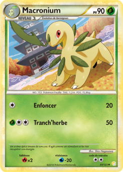 Macronium (HeartGold & SoulSilver 35)