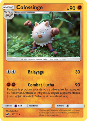 Carte Soleil et Lune Invasion Carmin 51.png