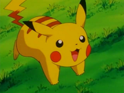 Pikachu(de Sacha)