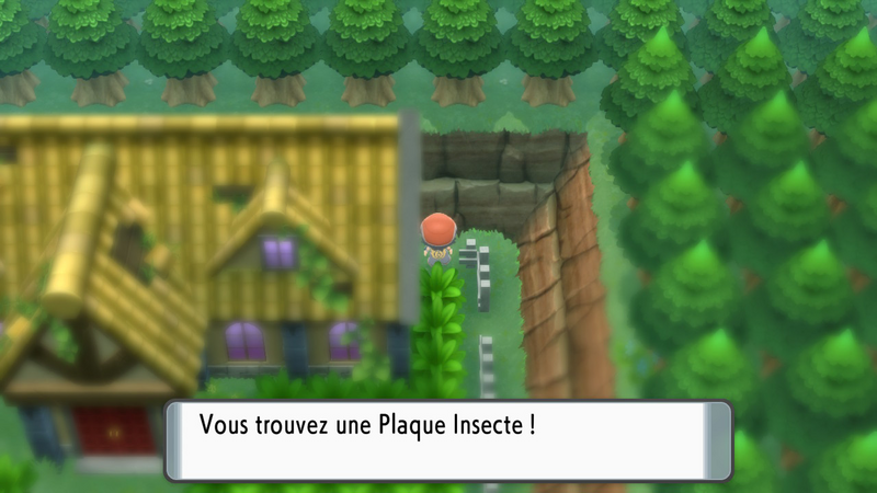 Fichier:Forêt de Vestigion Plaque Insecte DEPS.png