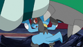 Riolu (de Sacha)