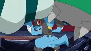 LV045 - Riolu de Sacha.png