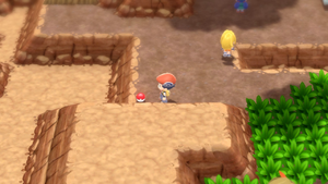 Route 205 Repousse DEPS.png
