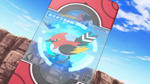 XY036 - Braisillon Pokédex.png