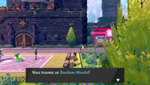 Kickenham Bandeau Muscle EB.png