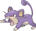 Rattata - 0019