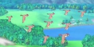 Roucoups XY001.png