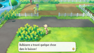 Route 17 Baie Nanana LGPE.png