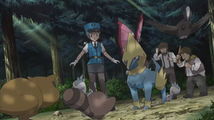 XY119 - Fouinette.png