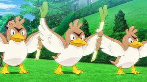 Canarticho Reflet.png