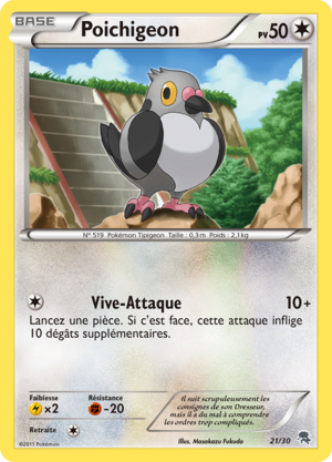 Carte Noir & Blanc Kit du Dresseur Zoroark 21.png