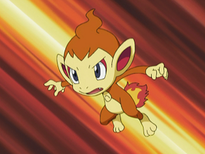 DP080 - Ouisticram de Sacha.png