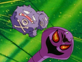 Arbok (de Jessie) et Smogogo (de James)