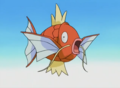 Magicarpe