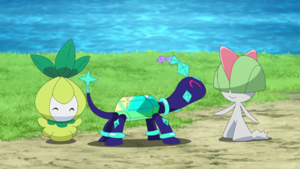 LH072 - Chlorobule et Tarsal.png