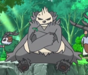Pandarbare XY001.png