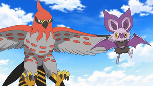 XY095 - Flambusard et Sonistrelle de Sacha.png