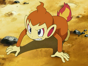 DP108 - Ouisticram de Sacha.png