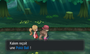 Forêt de Neuvartault Poké Ball Serena XY.png