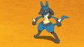 Lucario (de Sacha)