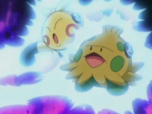 Makuhita et Balignon Coup d'Main.png