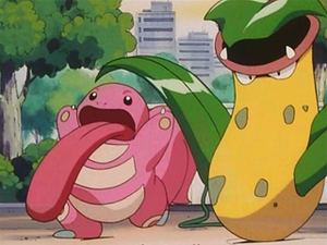 EP146 - Excelangue de Benny et Empiflor de James.png