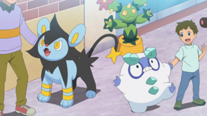 LH008 - Luxio et Maracachi d'un Dresseur.png