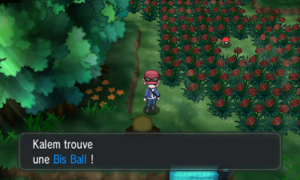 Route 20 Bis Ball XY.png