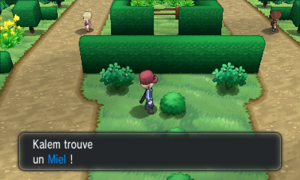 Route 4 Miel Buisson XY.png