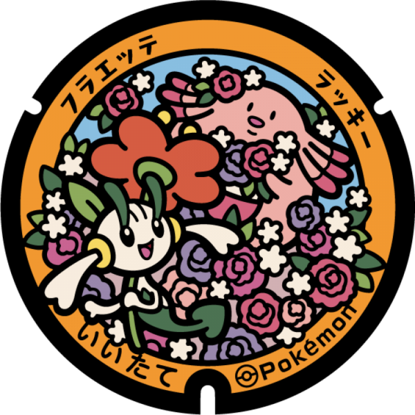 Fichier:Poké Lid 254 Iitate.png
