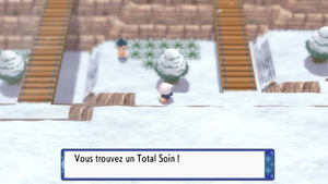 Route 216 Total Soin DEPS.png