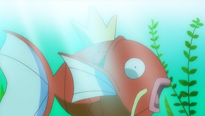 SL071 - Magicarpe.png