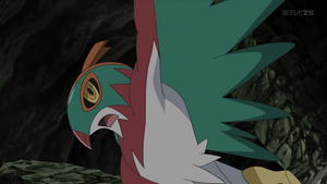 XY110 - Brutalibré de Sacha.png