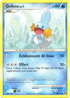 Gobou (Diamant & Perle Duels au sommet 80)