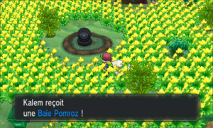 Village Pokémon Baie Pomroz XY.png