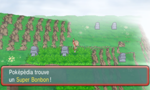 Mont Mémoria Super Bonbon ROSA.png