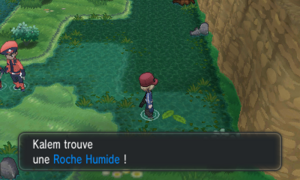 Route 19 Roche Humide XY.png